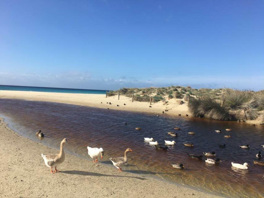 Apartamento El Descanso Son Bou Esterno foto